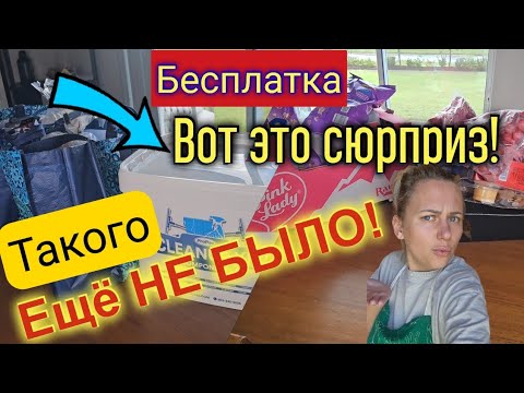 Видео: Вот это удивили! ТАКОГО ЕЩЕ НЕ БЫЛО/Мега крутая бесплатка/Фудбанк в США/Лиса в Америке/Флорида/Влог