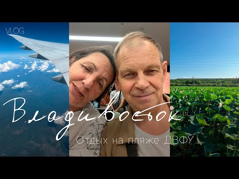 Видео: Владивосток. Отдых на пляже ДВФУ август 2025 года.