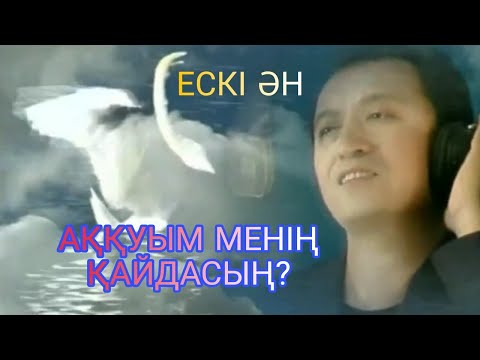 Видео: Ералхан Әбішев-Аққуым менің қайдасың.