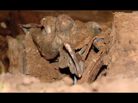 Видео: В Хойникском районе нашли старинный склеп