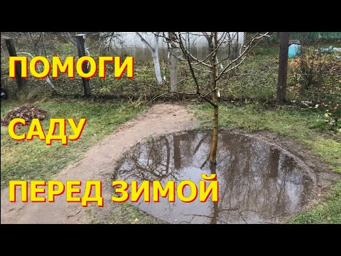 Видео: Подзимний влагозарядковый полив - для лучшей перезимовки деревьев и кустарников