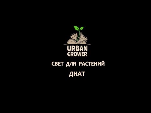 Видео: УРБАН ГРОВЕР УРОК 11 - ДНАТ - СВЕТ ДЛЯ РАСТЕНИЙ