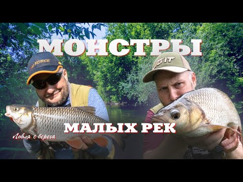 Видео: МОНСТРЫ малых рек. Спиннинг с берега с Иваном Кашициным