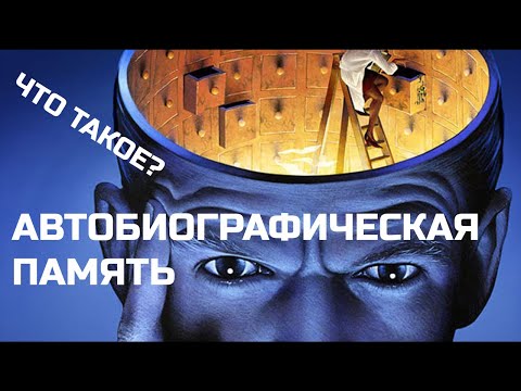 Видео: Автобиографическая память: где хранятся воспоминания?