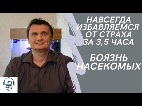 Видео: Страх насекомых. Избавься  за 3,5 часа навсегда