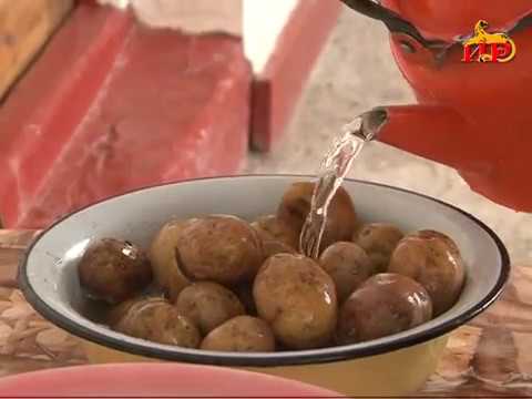 Видео: «Сасинка». 77 хай. ПТРК «Ир» ӕмӕ ТК «Nog Bon»- ы проект.