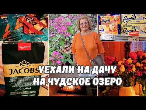 Видео: Сегодня стрим в 18.00!Уехали на дачу на Чудское озеро.Что купили на дачу.Обзор покупок.Эстония влог