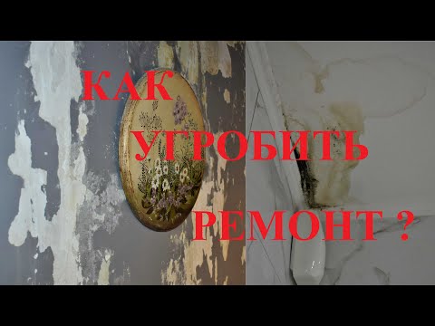 Видео: Как угробить ремонт? Ацкий шок от увиденного. Дикое попадалово.