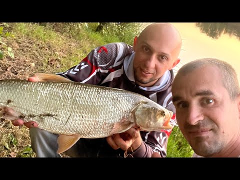 Видео: Рыбалка  Франция Жерех на блесну река Мозель