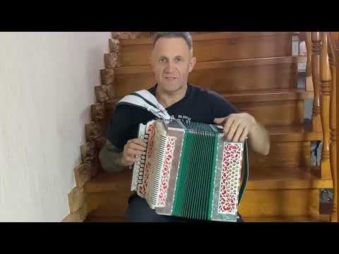 Видео: Гармонь - Тамбовский Шедевр, фа #, восьмипланка . Продажа.