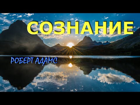 Видео: СОЗНАНИЕ [РОБЕРТ АДАМС]