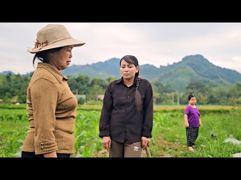 Видео: Ту была очень опечалена и обеспокоена, когда услышала рассказ госпожи Туй о ситуации Фыонг в тюрьме.