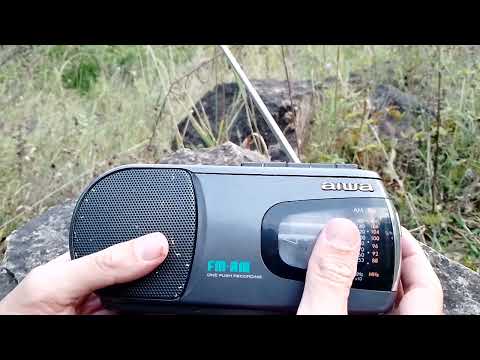 Видео: Краткий обзор магнитолы AIWA (RM P3)