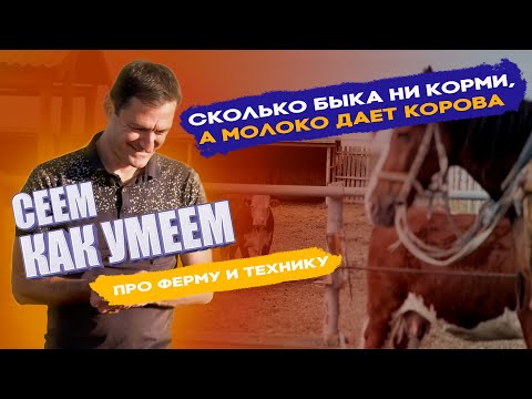 Видео: Чья бы корова мычала! Ферма, техника и кормозаготовка!