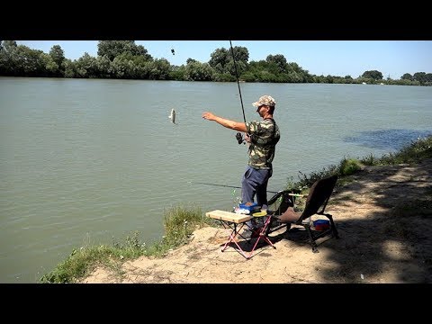 Видео: Ловля Карася на реке Кубань, рыбалка на классический фидер