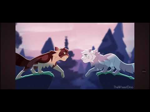 Видео: Контент в фандоме кв #warriorcats #котывоители #warriorscats 