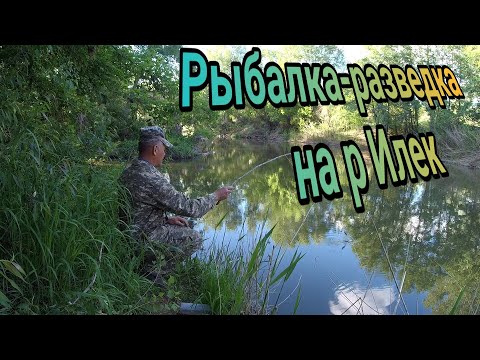 Видео: Рыбалка-разведка на р Илек  Птичьи трели, бобры, отдых. КРАСОТА г Актобе 2022г