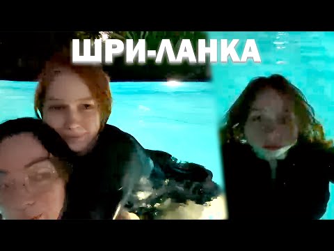Видео: МОРФИ И КОРЯ СТРИМЯТ С ВИЛЛЫ НА ШРИ-ЛАНКЕ