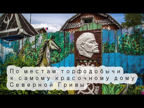 Видео: Шатурский вояж. По торфяникам и бывшей узкоколейке к самому красочному домику Северной Гривы