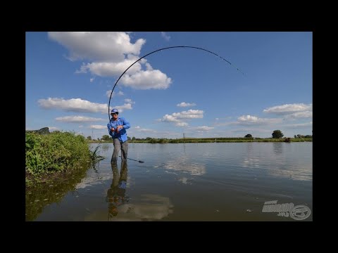 Видео: КАТУШКИ ДЛЯ ФЛЭТ ФИДЕРА, УДИЛИЩА ДЛЯ ФЛЭТ ФИДЕРА, Tica Carp ,Feeder Master Carp