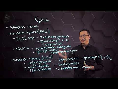 Видео: Состав и функции крови. 8 класс.