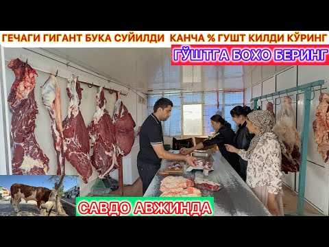 Видео: ГЕЧАГИ ГИГАНТ БУКА СУЙИЛДИ  КАНЧА % ГУШТ КИЛДИ КЎРИНГ 4-октябрь 2025 г..