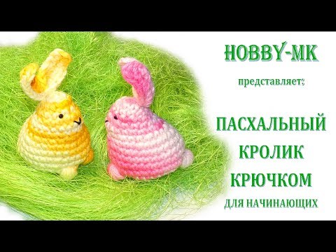 Видео: Кролик для начинающих