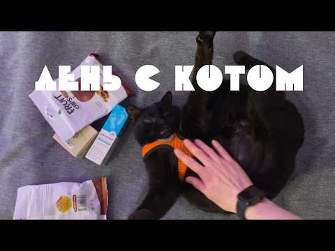 Видео: учусь отдыхать / тихий влог в уединении