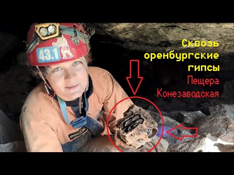 Видео: Конезаводская пещера - родина североравнинной карликовой лошади