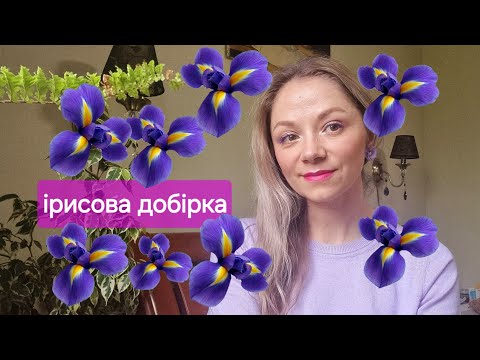 Видео: Аромати з нотою ірису 🪻