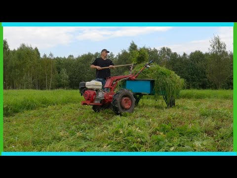 Видео: Строим коровник, копаем картофель, индюки и снова на покосах! Деревенские будни.