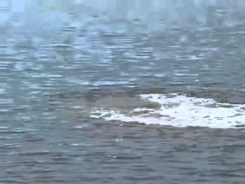 Видео: Спецназ Холуай.avi