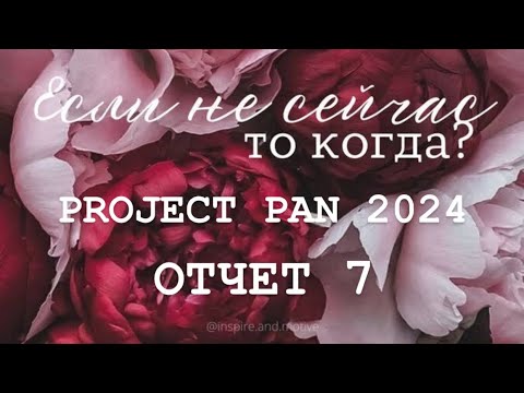 Видео: Бесконечный PROJECT PAN 2024 Отчет 7