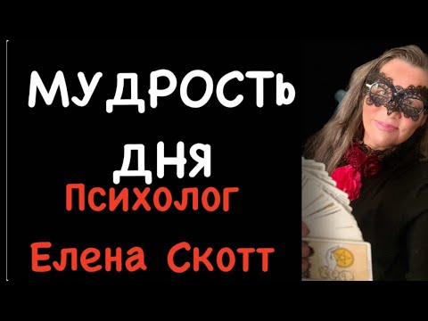 Видео: Задавайте вопросы прямо сейчас!