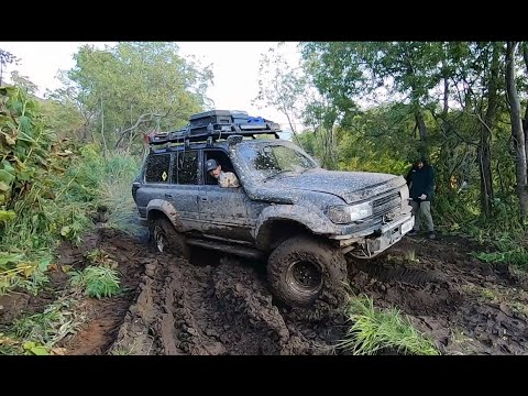 Видео: Большие банные источники, обратный путь, заблудились на реке. Часть 2