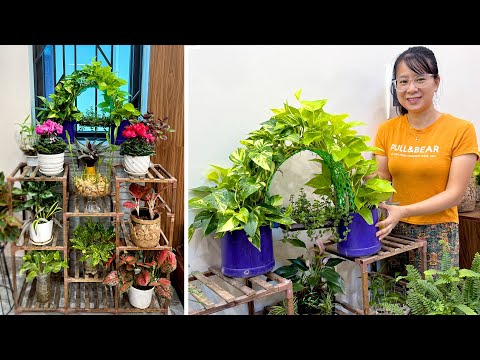 Видео: Небольшое пространство, пышная атмосфера: советы по грамотному оформлению растений