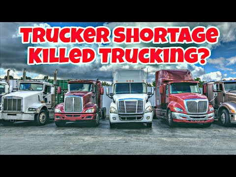 Видео: Нехватка дальнобойщиков погубила транспортную отрасль для всех американских водителей