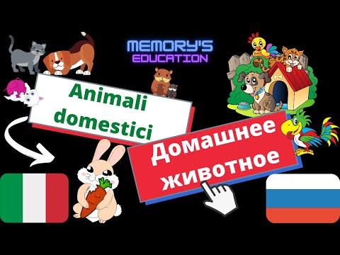 Видео: ANIMALI DOMESTICI in Russo / ДОМАШНИЕ ЖИВОТНЫЕ на итальянском языке