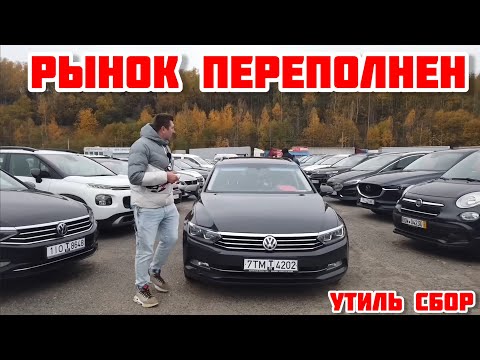 Видео: АВТОРЫНОК МИНСК, ОБВАЛ ЦЕН?!  УТИЛЬ. ДНО АВТОБИЗНЕСА