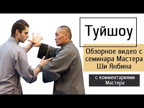 Видео: Туйшоу - обзор семинара Мастера Ши Янбина с комментариями Мастера
