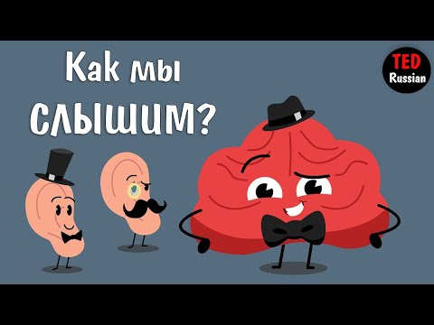 Видео: [TED Ed] Как мы слышим?