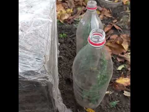 Видео: І знову🍁 осіння 🍁розпаковка.🍁