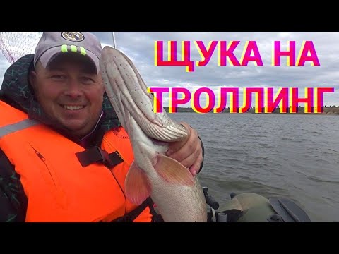 Видео: Щука на троллинг! Осенняя рыбалка в непогоду.