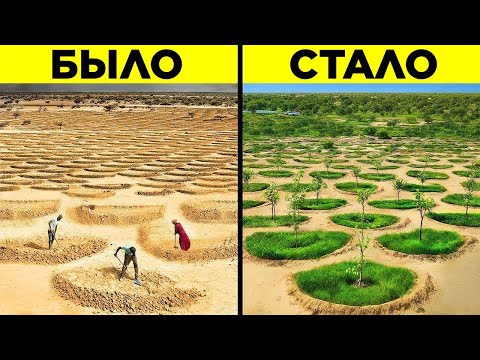 Видео: Сахару Превращают В Зелёный Оазис