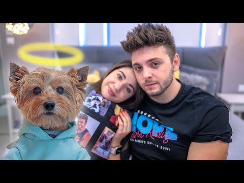 Видео: СБОГОМ, ДЕЙМЪН