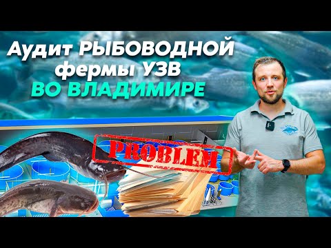 Видео: Как ВЫВЕСТИ ферму УЗВ ИЗ УБЫТКА на 15 МИЛЛИОНОВ РУБЛЕЙ чистой ПРИБЫЛИ? | Аудит УЗВ