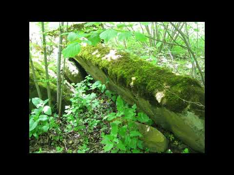 Видео: Дольмены Цербелевой поляны. Адыгея. Гора Монах