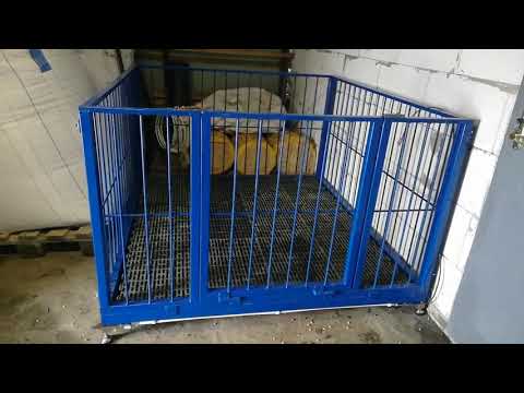 Видео: Супер весы для животных на тензодатчиках ! Ваги для тварин.