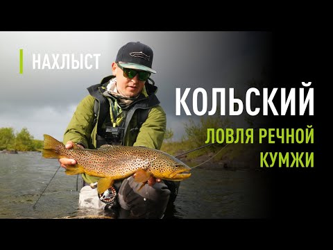 Видео: Ловля КУМЖИ на КОЛЬСКОМ. Тактика ловли на скейтер, нимфу и стример. Верховье ЙОКАНЬГИ.