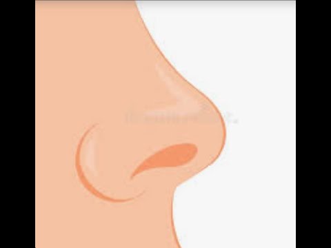 Видео: Построения лица человека . Нос человека